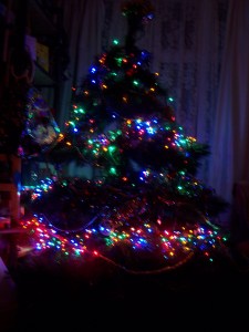 whizzy christmas tree