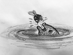 drawing of fish and wasp