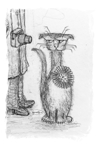 drawing cat and photographer